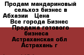 Продам мандариновый сельхоз-бизнес в Абхазии › Цена ­ 1 000 000 - Все города Бизнес » Продажа готового бизнеса   . Астраханская обл.,Астрахань г.